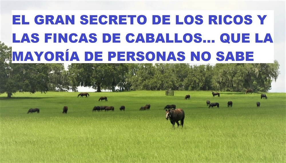 El secreto de las fincas equinas Image #1